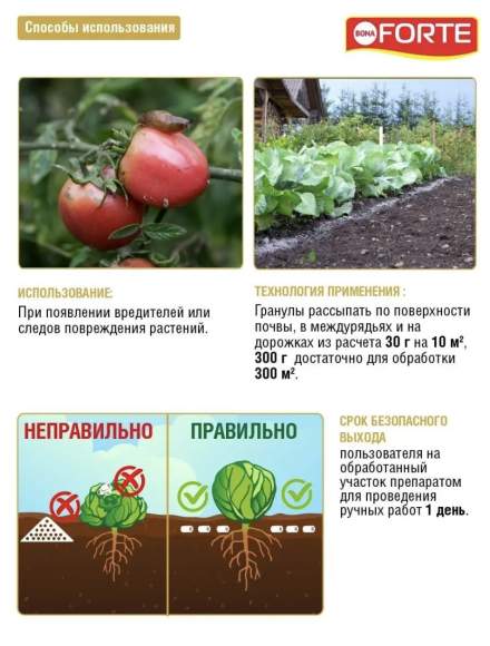 Средство от улиток и слизней 0,3 кг (Форте,банка)  – купить в г. Волгоград