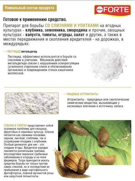 Средство от улиток и слизней 0,3 кг (Форте,банка)  – купить в г. Волгоград