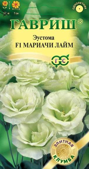 Эустома Мариачи лайм F1 (гавриш) 4 шт  – купить в г. Волгоград