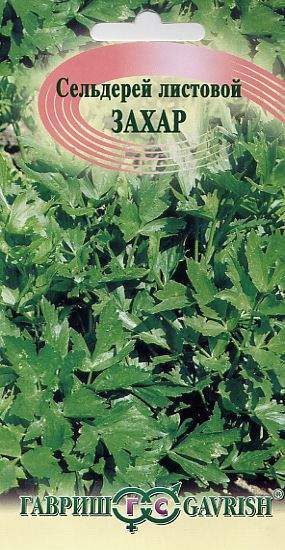 Сельдерей листовой Захар (гавриш) 0,1 гр  – купить в г. Волгоград