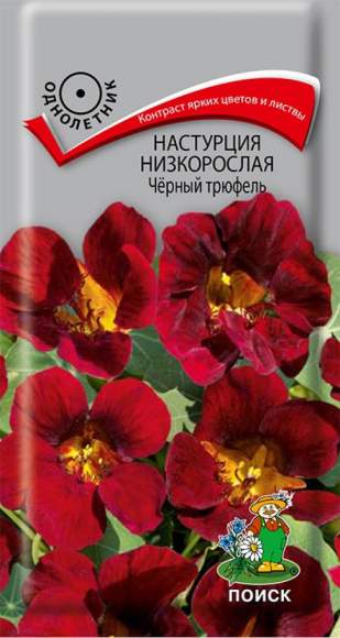 Настурция низкорослая Черный трюфель (поиск) 1,0 гр  – купить в г. Волгоград