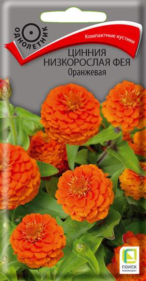 Цинния низкорослая Фея оранжевая (поиск) 0,1 гр