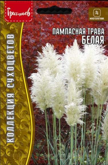 Кортадерия Белая (пампасная трава) (Григорьев) 0,01гр  – купить в г. Волгоград