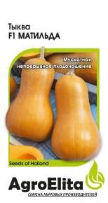Тыква Матильда F1 (агроэлита) 5 шт (Enza Zaden) Тыква Матильда F1 (агроэлита) 5 шт (Enza Zaden)