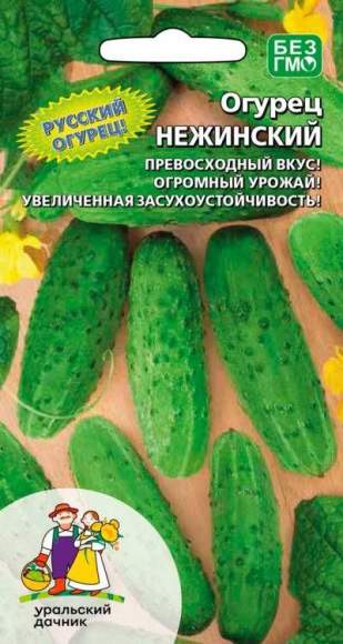 Огурец Нежинский (уральский дачник) 10 шт – купить в г. Волгоград Огурец Нежинский (уральский дачник) 10 шт – купить в г. Волгоград