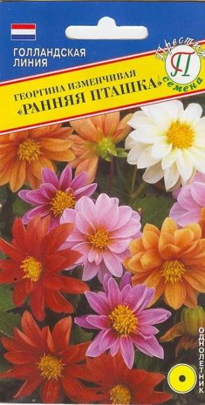 Георгина изменчивая Рання пташка (престиж) 20шт  – купить в г. Волгоград