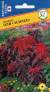 Амарант Оли Сплендэ (престиж) 25 шт (sakata)  – купить в г. Волгоград