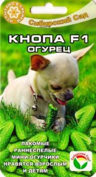 Огурец Кнопа F1 (сибирский сад) 7 шт