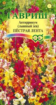 Антирринум (львиный зев) Пестрая лента (гавриш) 0,05гр Антирринум (львиный зев) Пестрая лента (гавриш) 0,05гр