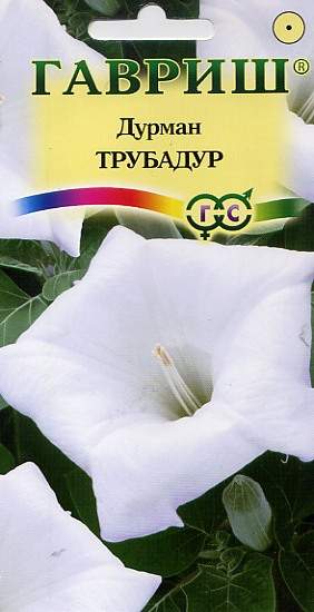 Дурман древовидный Трубадур (гавриш) 0,3гр  – купить в г. Волгоград