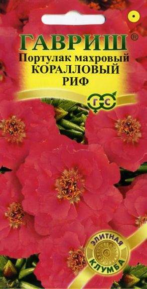 Портулак Коралловый риф (гавриш) 0,01гр  – купить в г. Волгоград