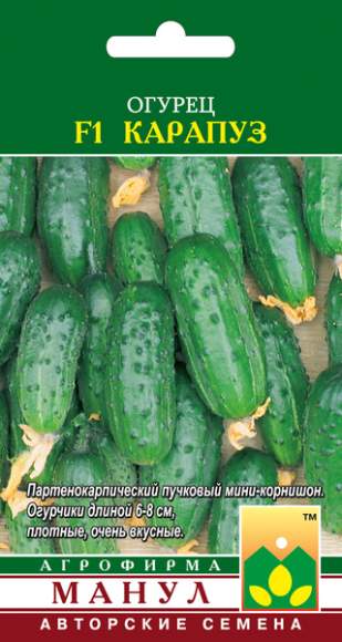 Огурец Карапуз F1 (манул) 10 шт – купить в г. Волгоград Огурец Карапуз F1 (манул) 10 шт – купить в г. Волгоград