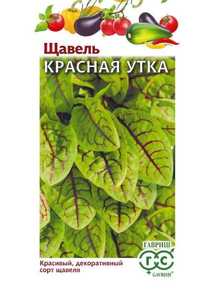Щавель Красная утка (гавриш) 0,05 гр  – купить в г. Волгоград