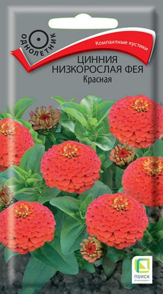 Цинния низкорослая Фея красная (поиск) 0,1 гр  – купить в г. Волгоград