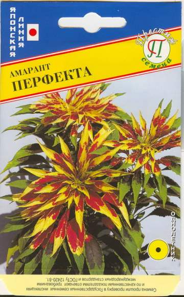 Амарант Перфекта (престиж) 25 шт (sakata)  – купить в г. Волгоград