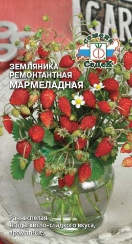 Земляника Мармеладная (седек) 0,04 гр  – купить в г. Волгоград