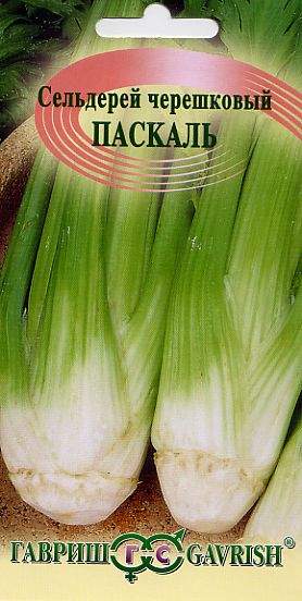 Сельдерей черешковый Паскаль (гавриш) 0,1 гр  – купить в г. Волгоград