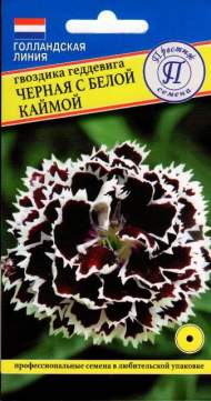 Гвоздика Геддевига черная с белой каймой  (престиж) 15 шт 
