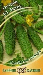 Огурец Зятек F1 (гавриш) 10шт  – купить в г. Волгоград
