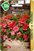 Петуния Сферика Салмон F1 (биотехника) 10шт  – купить в г. Волгоград