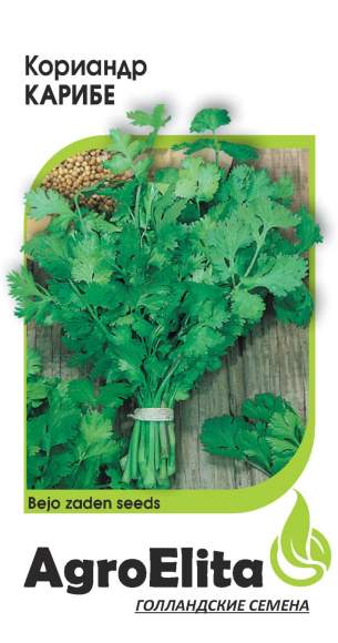 Кориандр (кинза) Карибе (агроэлита) 1,0 гр (bejo) – купить в г. Волгоград Кориандр (кинза) Карибе (агроэлита) 1,0 гр (bejo) – купить в г. Волгоград
