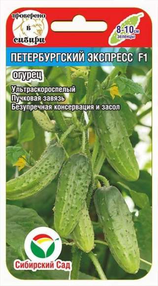 Огурец Петербургский экспресс F1 (сибирский сад) 7 шт – купить в г. Волгоград Огурец Петербургский экспресс F1 (сибирский сад) 7 шт – купить в г. Волгоград