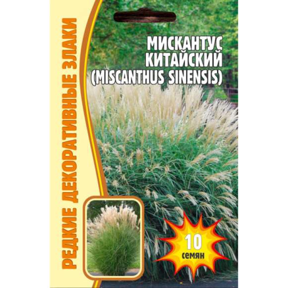 Мискантус китайский (веерник) (Григорьев) 0,01гр  – купить в г. Волгоград