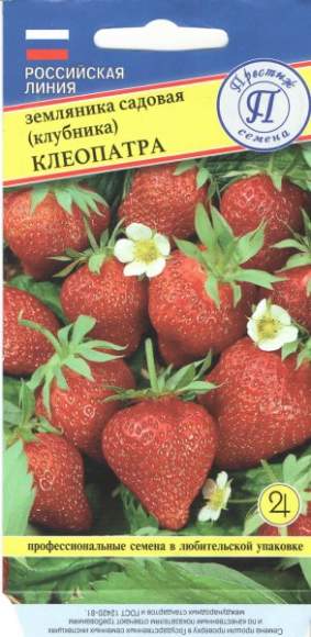 Земляника (клубника) Клеопатра (престиж) 0,01 гр  – купить в г. Волгоград