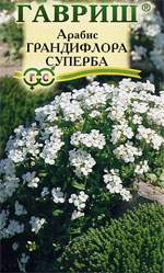 Арабис Грандифлора суперба (гавриш) 0,05 гр многолетний  – купить в г. Волгоград