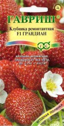 Клубника Грандиан F1 (гавриш) 5 шт – купить в г. Волгоград Клубника Грандиан F1 (гавриш) 5 шт – купить в г. Волгоград
