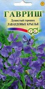 Душистый горошек Лавандовые крылья (гавриш) 0,5гр – купить в г. Волгоград Душистый горошек Лавандовые крылья (гавриш) 0,5гр – купить в г. Волгоград
