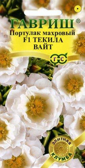 Портулак Текила вайт (гавриш) 5шт  – купить в г. Волгоград