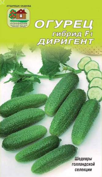 Огурец Диригент F1 (наш сад) 5 шт  – купить в г. Волгоград