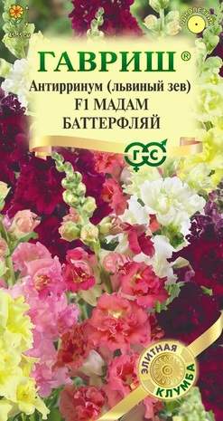 Антирринум (львиный зев) F1 Мадам Баттерфляй, смесь (гавриш) 7 шт  – купить в г. Волгоград