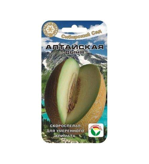 Дыня Алтайская (сибирский сад) 7 шт – купить в г. Волгоград Дыня Алтайская (сибирский сад) 7 шт – купить в г. Волгоград