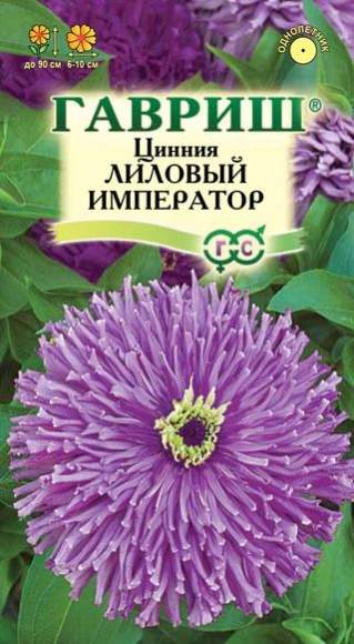Цинния Лиловый император (гавриш) 0,2гр  – купить в г. Волгоград