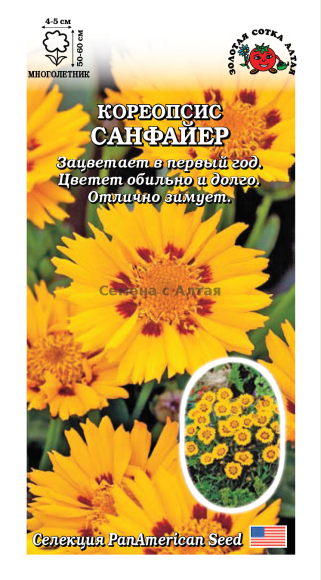 Кореопсис Санфайер (зса) 5шт  – купить в г. Волгоград