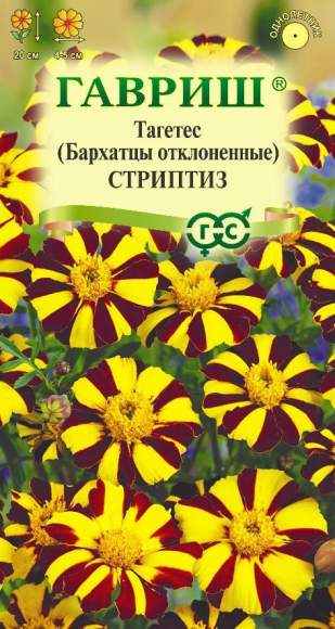 Бархатцы Стриптиз (гавриш) 0,3 гр  – купить в г. Волгоград