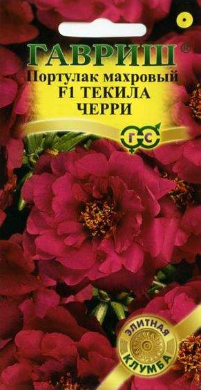 Портулак Текила черри F1 (гавриш) 5шт  – купить в г. Волгоград
