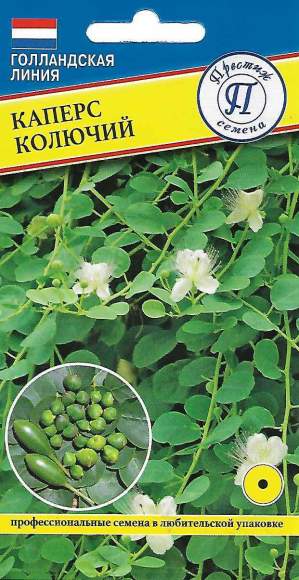 Каперс Колючий (престиж) 3 шт  – купить в г. Волгоград