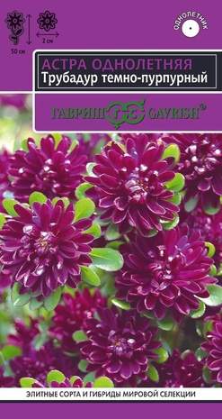 Астра Трубадур темно-пурпурный (гавриш) 0,05 гр  – купить в г. Волгоград