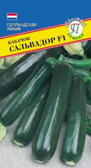 Кабачок Сальвадор F1 (престиж) 5 шт  – купить в г. Волгоград