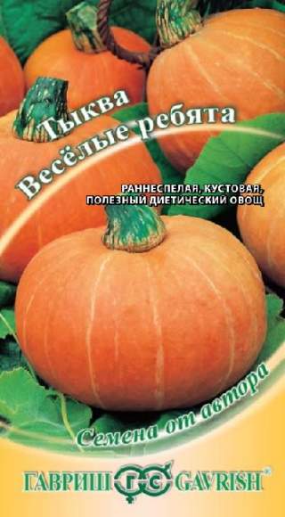 Тыква Веселые ребята (гавриш) 1,0гр  – купить в г. Волгоград