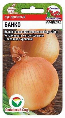 Лук репчатый Банко F1 (сибирский сад) 200 шт  – купить в г. Волгоград