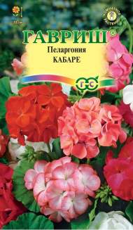 Пеларгония Кабаре F2 (гавриш) 4 шт Пеларгония Кабаре F2 (гавриш) 4 шт