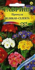 Примула Селекта Великан (гавриш) 10 шт  – купить в г. Волгоград