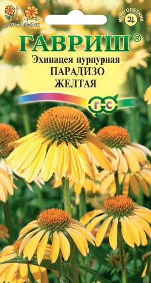 Эхинацея Пурпурная Парадизо желтая (гавриш) 5шт  – купить в г. Волгоград