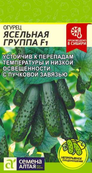 Огурец Ясельная группа F1 (семена Алтая) 5шт  – купить в г. Волгоград