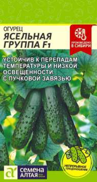 Огурец Ясельная группа F1 (семена Алтая) 5 шт