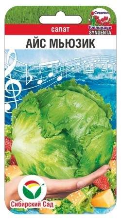 Салат кочанный Айс мьюзик (сибирский сад) 15 шт  – купить в г. Волгоград